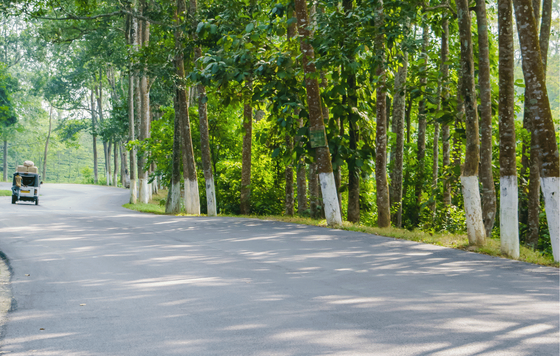 Scenic Drive